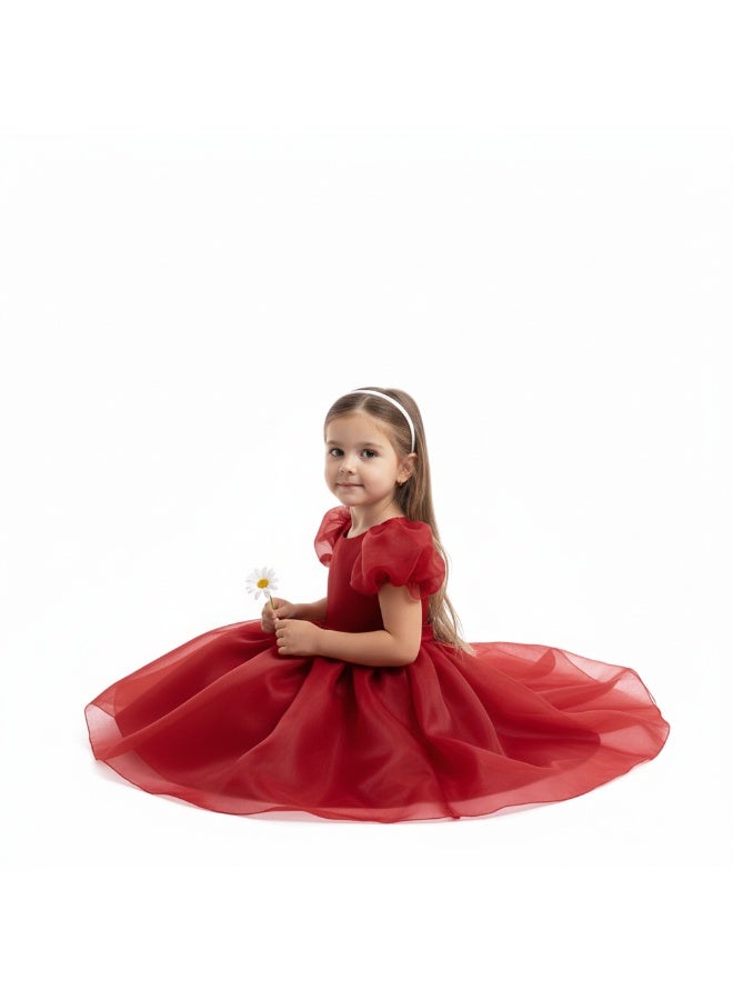 D'Daniela Organza Puff Sleeve Dress - Image 4